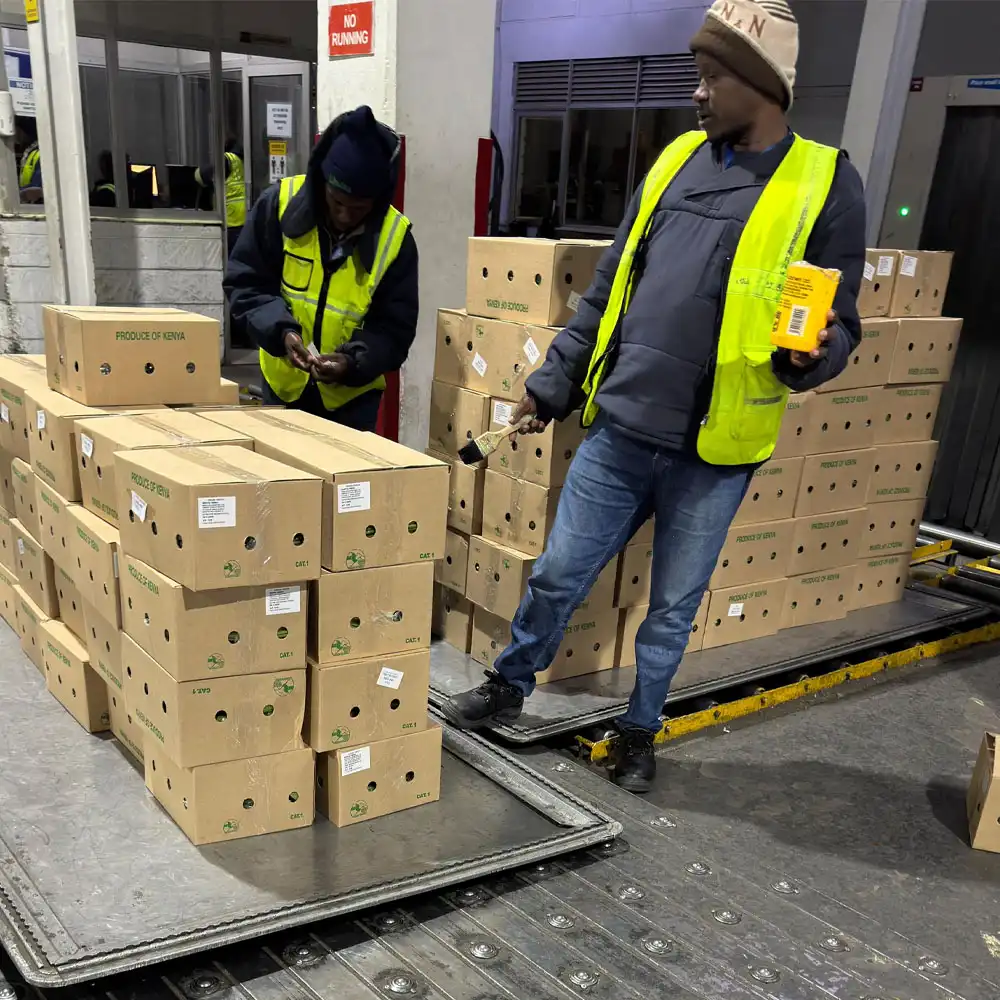 Shipment labelling