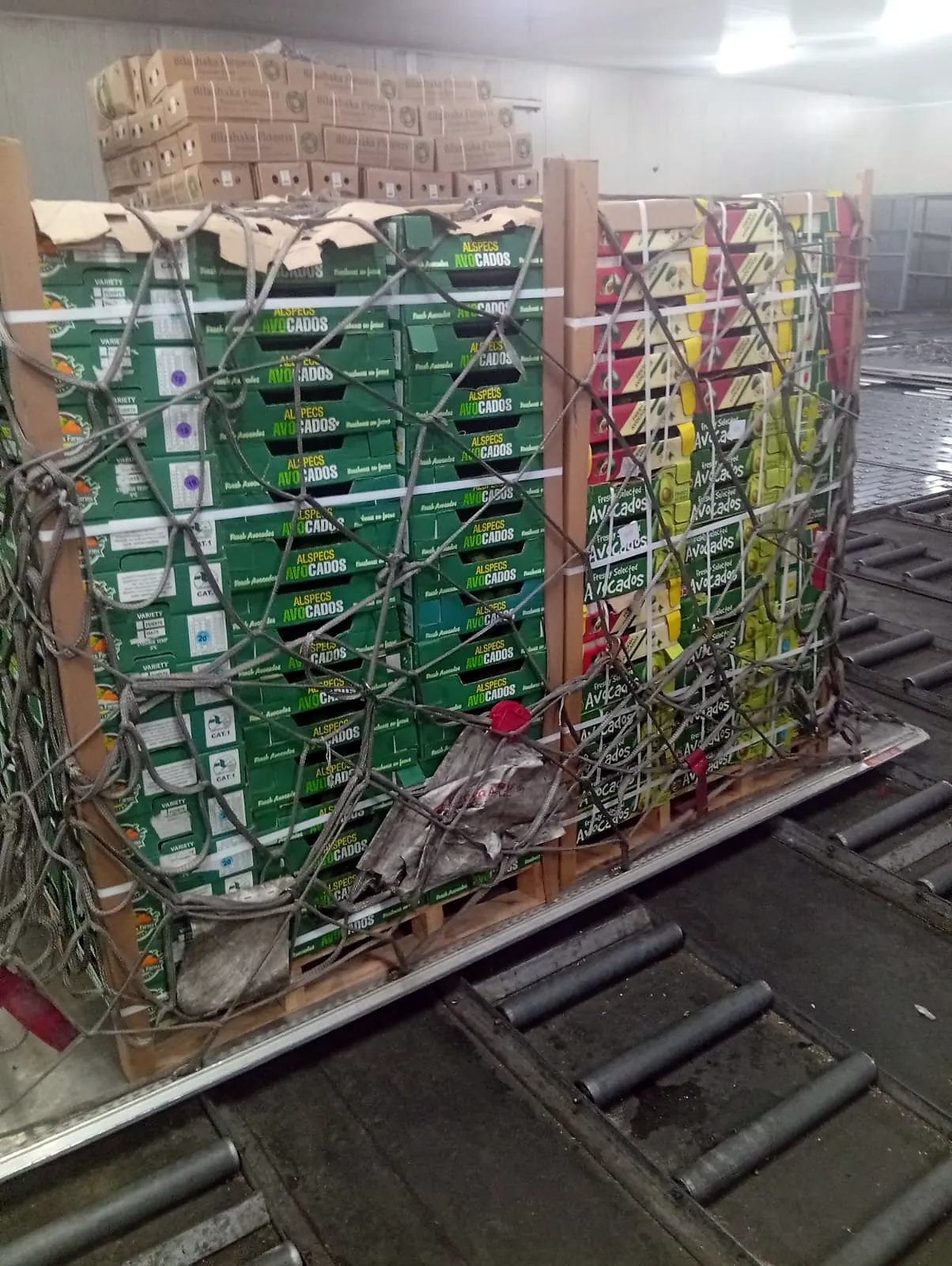 Our well built BUPS ready for uplift