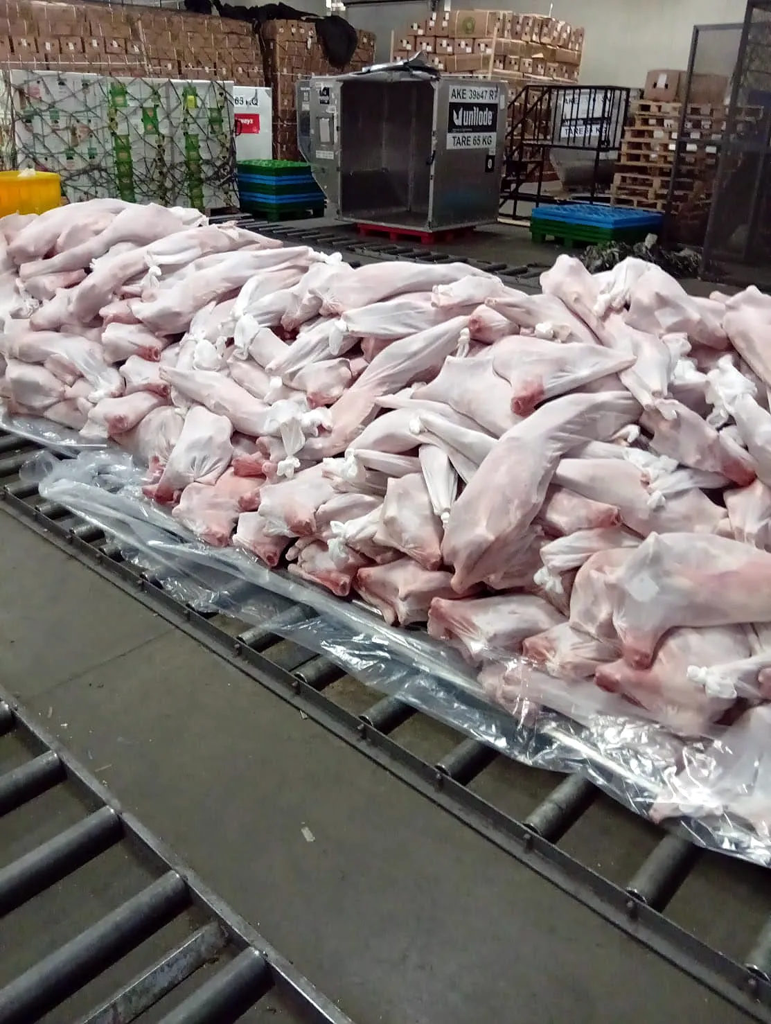 PEM COLD STORE STORAGE