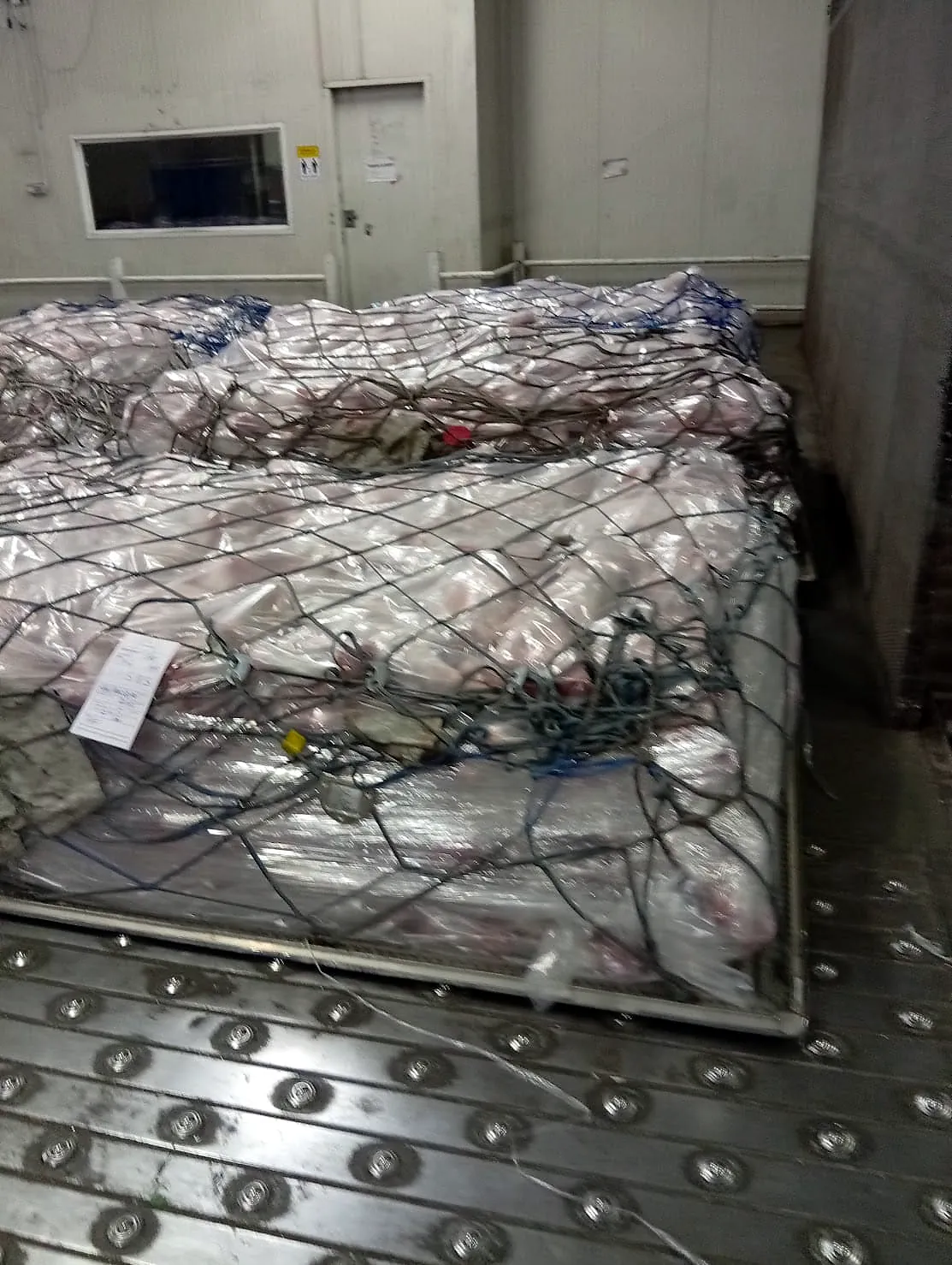 PEM COLD STORE STORAGE