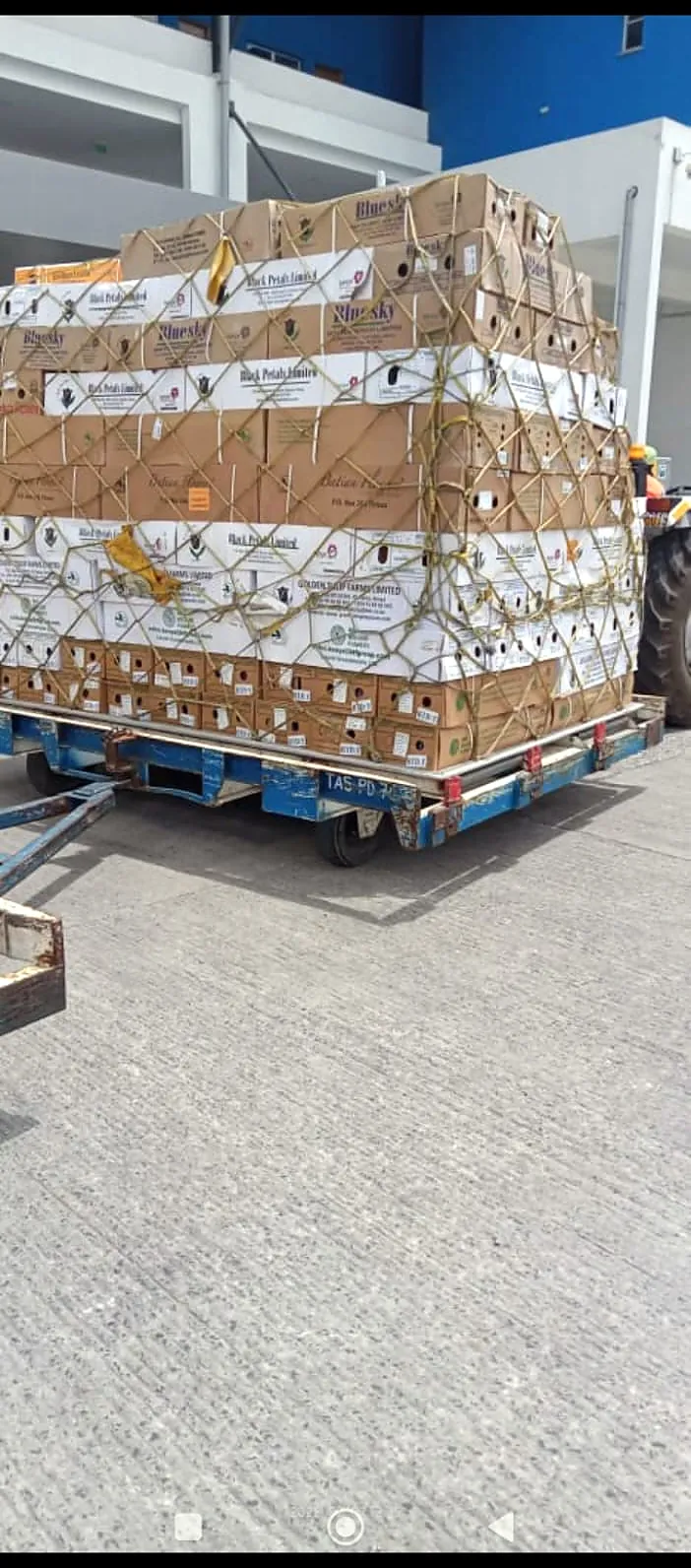 Perishables handling
