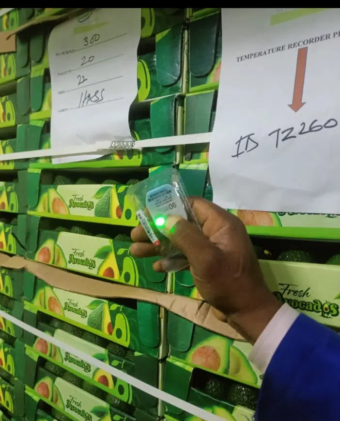 Temperature Monitoring for Avocado Shipments